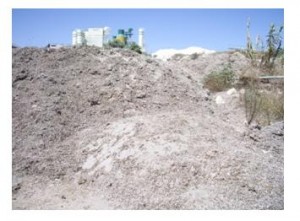 Posidonia acumulada durante los últimos 5 años en el ecoparque de Benissa. Se aprecia la gran cantidad de arena almacenada