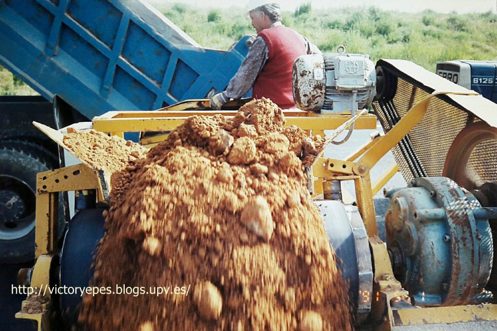 Imagen: V. Yepes (1991)